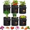 Ipower Potato Grow Bags with Flap 10 Gallon, Garden Planting Pot, 6PK GLGROWBAGWINDOW10X6 - alternate 1
