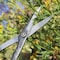 Zenport Deluxe Garden Scissors, 6.5-Inch ZS105 - alternate 2