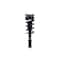 Fcs Struts Suspension Strut And Coil Spring Assembly 1332317 - alternate 1