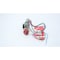 Sor PRESSURE SWITCH 1/2IN 250V-AC 7-30PSI 6AH-EF2-M7-C2A - alternate 3