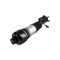 Fcs Struts Electronic Air Suspension Strut Assembly 99050 - alternate 2
