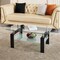 Homeroots 39" Clear and Black Glass and Steel Coffee Table With Shelf 635698 - alternate 4