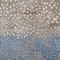 Homeroots 3' X 5' Khaki And Taupe Abstract Washable Indoor Outdoor Area Rug 609462 - alternate 3