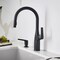 Blanco Rivana Pull-Down 1.5 GPM, Matte Black 443020 - alternate 3