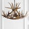 Jonathan Y Nelle 28.5" Adjustable Resin Antler 6-Light Chandelier, Brown JYL6302A - alternate 4