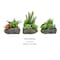 Pure Garden Artificial Succulent Plants 3-Piece Arrangement Set in Faux Stone Pots and Assorted Sizes 50-LG1123 - alternate 4