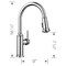 Blanco Empressa Pull Down 1.5 gpm, Chrome 442501 - alternate 3