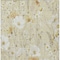 Homeroots 10' X 14' Wheat And Ivory Floral Washable Indoor Outdoor Area Rug 611179 - alternate 2