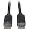 Tripp Lite DisplayPort Cable, Latches, M/M, 100ft P580-100 - alternate 1