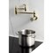 Kingston Brass Wall Mount Pot Filler Faucet with Knurled Handle, Polished Brass KS3102RKX - alternate 2