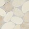 Daltile Pebble Oasis Natural Stone Flat Pebble Mosaic 12in x 12in in Tumbled Seashell, 11PK PB20FLTPEBMSTM - alternate 3