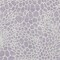 Homeroots 5' X 8' Lilac And Ivory Geometric Washable Indoor Outdoor Area Rug 595086 - alternate 3