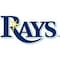 Coverking SEAT BELT PADS WITH TAMPA BAY RAYS LOGO HCEMHP - alternate 2