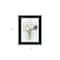 Homeroots Flower Farm Bouquet Black Framed Print Wall Art 529928 - alternate 3