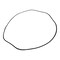 Agco O-RING, AGCO OEM 3611459M1 3611459M1 - alternate 1