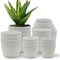 Campior Plastic Plant Pots with Drainage, Home Decor Flower Pot, Stackable Design for Indoor, 20PK CMPWHT222 - alternate 1