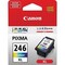 Canon Original Extra Large Yield Inkjet Ink Cartridge, Tri-color CL-246XL - alternate 2