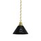 Holland Bar Stool Co United States Space Force Pendant Light with Brass Fixture BL - alternate 1