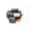 Weg AC MOTOR 1/3HP 1735RPM 115/208-230V-AC 1PH 3318ES1BW56CFL-S - alternate 1