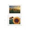 Homeroots Set Of Two Midwest Living 1 White Framed Print Wall Art, 2PK 407950 - alternate 3