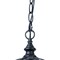 Homeroots Matte Black Cage Hanging Light 398008 - alternate 3