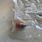 Eaton 24V LED Replacement Bulb (Red, Flashing) E22LED024RDF - alternate 1