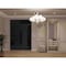 Vdomdoors Front Exterior Prehung Steel Door Ronex1477 Black Enamel 2 Sidelight and Transom Window Sidelite RONEX1477EXD-BLK-W14+36+14xH80+16-LH-I - alternate 3