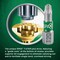 Spax No, 8 x 1-1/4'' T20 Plus Flat Head HCR-X, Exterior Rated Deck Screw, 230 Ct. 4191670400324 - alternate 1