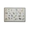 Homeroots Jungle Animals Alphabet Black Floater Frame Wall Art 573460 - alternate 4