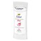 Dove Dragon Fruit and Coconut Cream Deodorants Stick, 2.6 Ounce, 12PK 64350892 - alternate 3