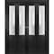 Sartodoors Sliding Closet Double Bi-fold Doors, Lucia 22 Matte Black with Frosted Glass, Sturdy Tracks Moldin LUCIA1422DBF-BLK-96 x 96 (4* 24x96) - alternate 1