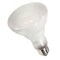 Ilc Replacement Halogen Bulb, 65W, 130V, BR30, Medium Screw (E26) INTERNATIONAL 65BR30/FL/HALOGEN - alternate 3