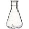 Nalgene Flasks, Colorless, PK12 4110-0250 - alternate 1