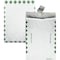 Survivor ENVELOPE, EXPN, 1CL, 10X13X1.5, 100PK R4510 - alternate 1