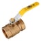 Revalved 1-1/2" Brass Ball Valve 600 WOG Female Threaded NPT Full Port, Lead-Free REV150TH - alternate 1