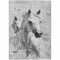 Homeroots 8' X 10' Gray And Silver Horse Washable Indoor Outdoor Area Rug 618682 - alternate 2