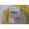 Murrelektronik CORDSET 10M 250VAC/VDC 7000-12341-0341000 - alternate 2
