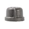 Southland 1-in FIP Black Iron Cap 521-405HN - alternate 3