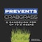 Scotts Turf Builder Pre Emergent Preventer & Fertilizer Starter Food For Multiple Grass Types 4000 s 23001 - alternate 2