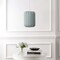 Jonathan Y Aurelia 13.75" 1-Light Scandinavian Japandi Adjustable Lantern Metal w/Ribbed Cocoon Capsule Shade L JYL4207B - alternate 4
