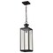 Nuvo Luca, Hanging Pendant, Sand Black Finish, Clear Beveled Glass 60/8514 - alternate 2