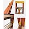 Boxtown Team Series 2 3.75'' x 3.5'' Ladder Carrier EXLC-A001 - alternate 2