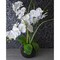 Apollo Tile Gray 11 x11 Thassos, Bianco Carrara Marble Polished Floor and Wall Mosaic Tile 4.2 sqft/case, 5PK APLDC88PB2A - alternate 3
