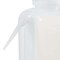 Nalgene Wash Bottle, Plastic, Colorless, PK24 2402-0750 - alternate 3