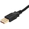 Monoprice 3FT USB 2.0 A MALE TO A FEMALE EXTENSION 28/24AWG CABLE GOLD PLATED 5432 - alternate 2