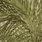 Homeroots 4' X 6' Ivory And Green Palm Leaf Indoor Outdoor Area Rug 548155 - alternate 3