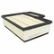 Motorcraft Engine Air Filter,  FA1916 - alternate 2