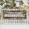 Signmission Farm Fresh Mushrooms, 48 Inch x 120 Inch, Vinyl Banner B-120-30602 - alternate 3