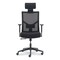 La-Z-Boy Mesh Back Molded Foam Task Chair, Supports Up to 275 lb, Black Seat/Back 60021 - alternate 5