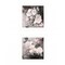 Homeroots Set Of Two Noir Roses 5 White Framed Print Wall Art, 2PK 408166 - alternate 1